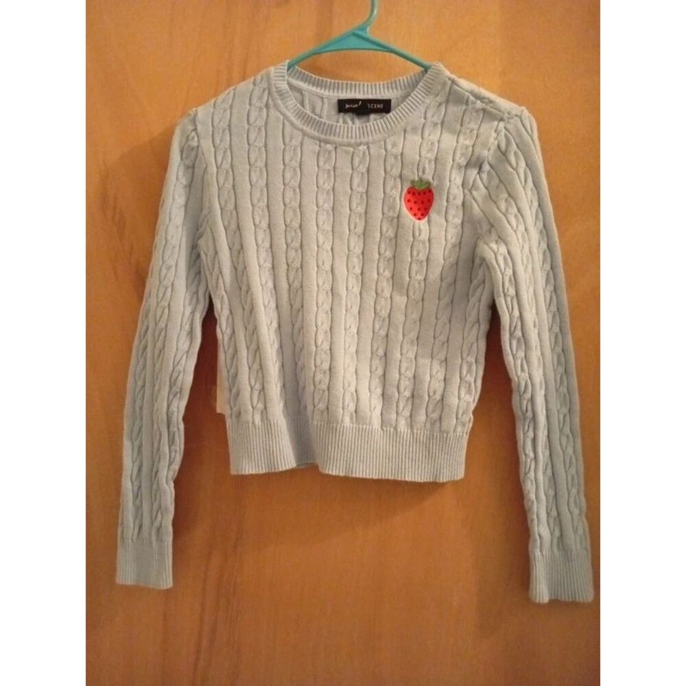 Ladies size M Social Scene light blue sweater w/ strawberry